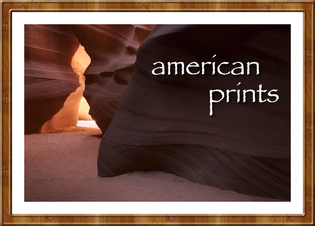 Us prints